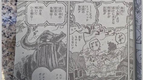 one piece 1111 spoiler reddit|One Piece chapter 1111 full spoilers: Gorosei invade the.